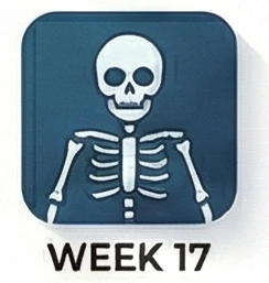 الأسبوع 17