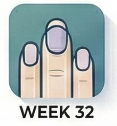 الأسبوع 32