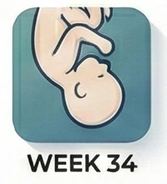 الأسبوع 34