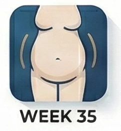 الأسبوع 35